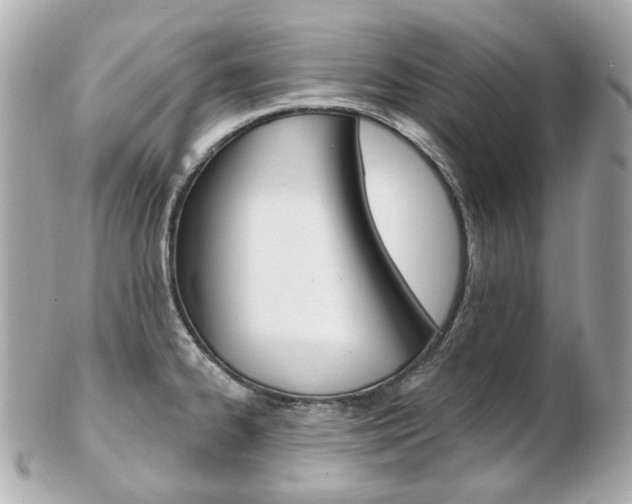 X0000103281334200808291037
