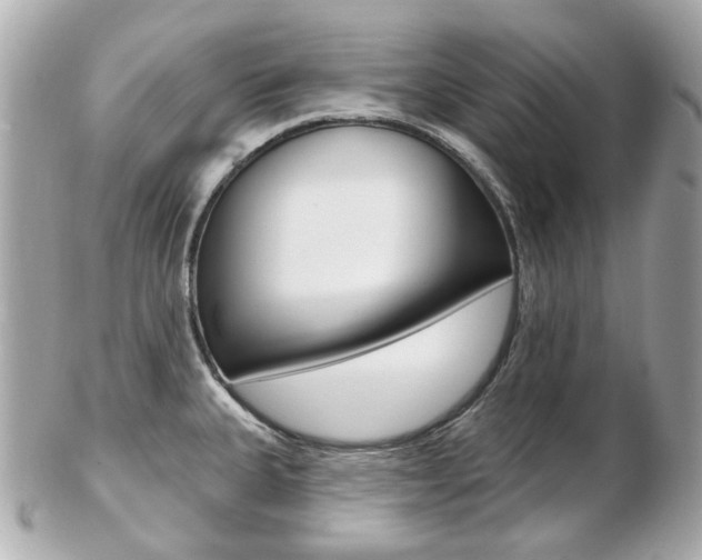X0000103281335200808291037