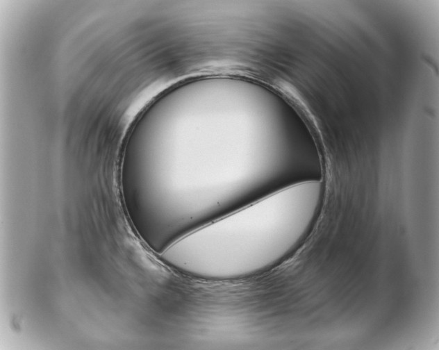X0000103281336200808291037