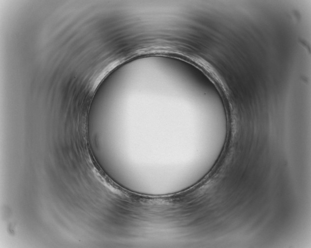 X0000103281337200808291037