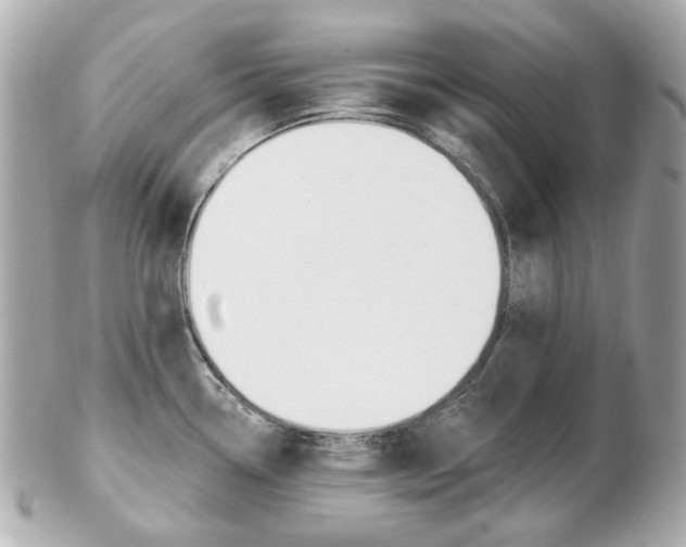 X0000103281338200808291037
