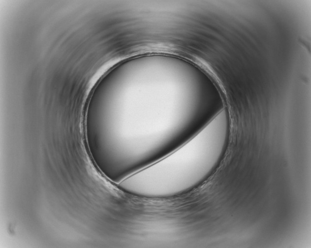 X0000103281339200808291037