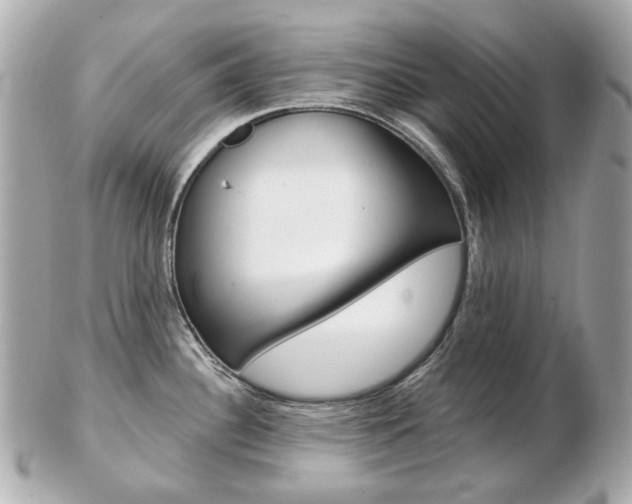 X0000103281340200808291037