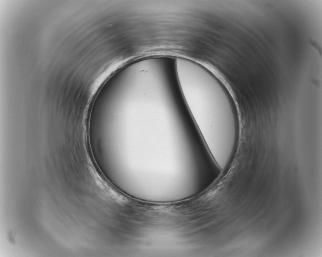 X0000103281341200808291037