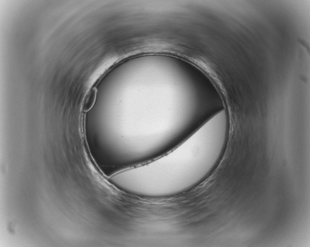 X0000103281342200808291037