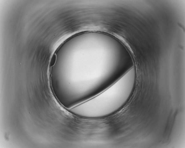X0000103281343200808291037