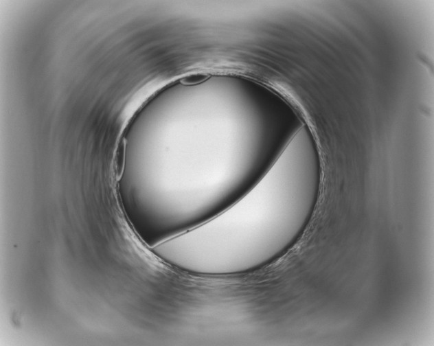 X0000103281344200808291037