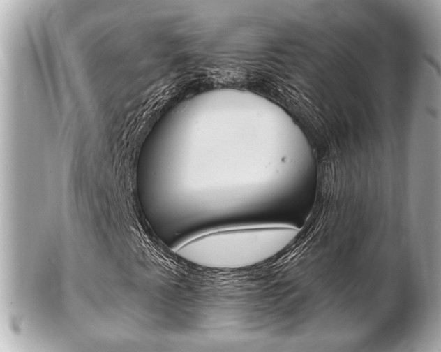 X0000103281345200808291036