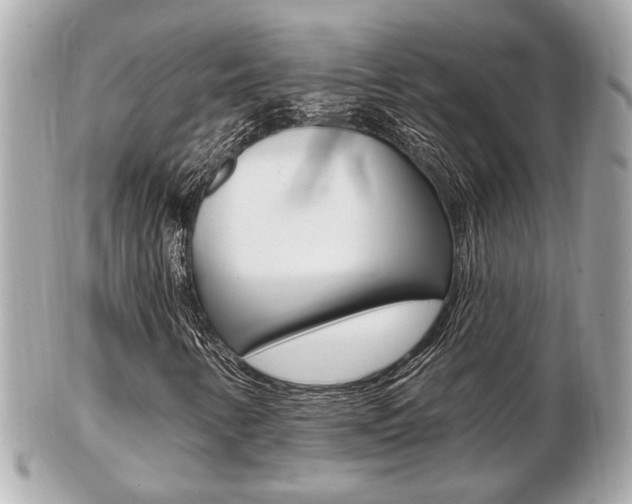 X0000103281346200808291036