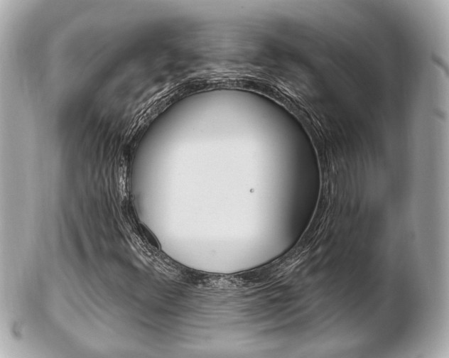 X0000103281348200808291036