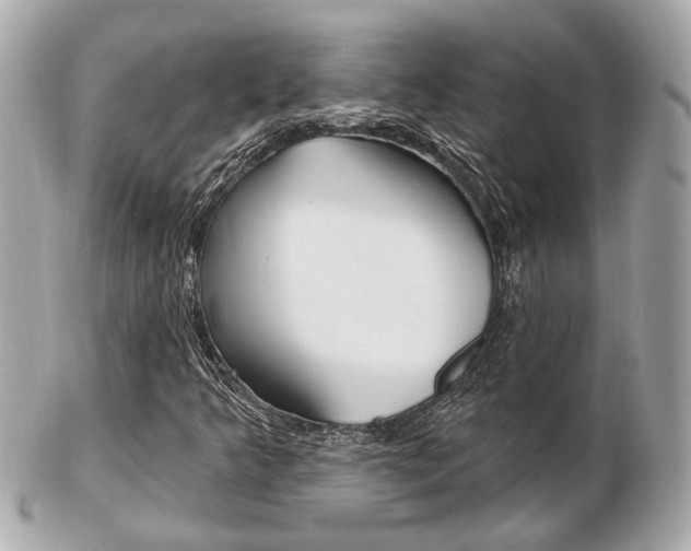 X0000103281349200808291036