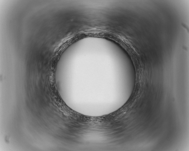 X0000103281350200808291036