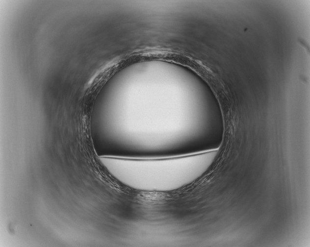 X0000103281351200808291036