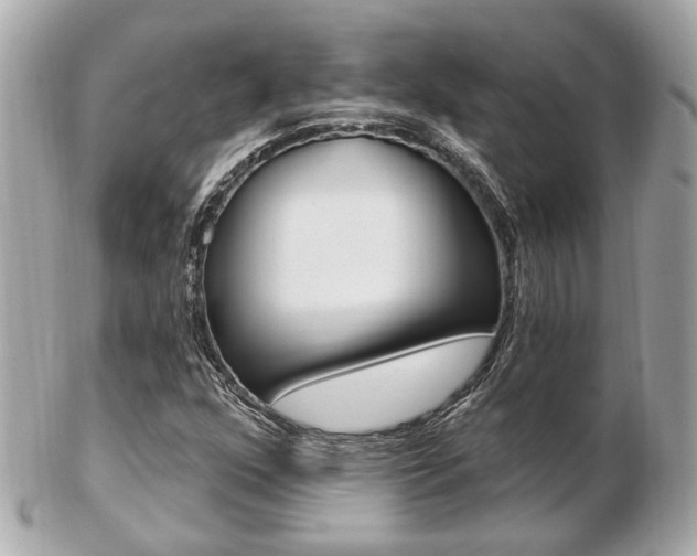 X0000103281352200808291036