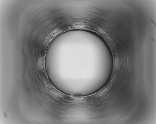 X0000103281353200808291036