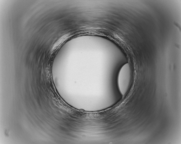 X0000103281354200808291036