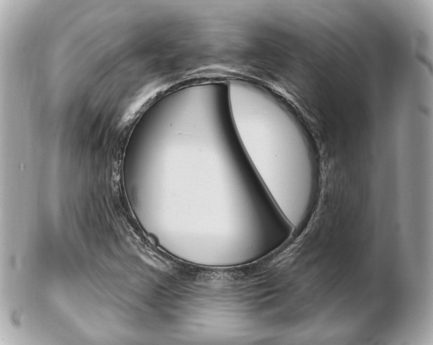 X0000103281355200808291036