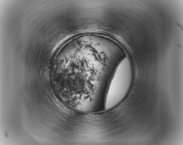 X0000103281356200808291036