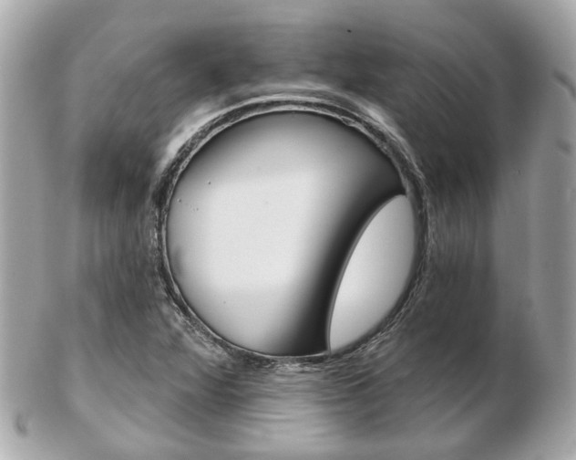 X0000103281360200808291036