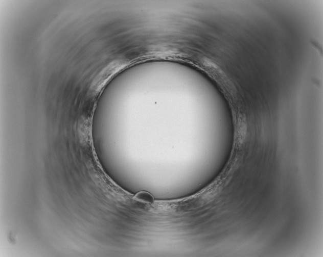 X0000103281361200808291036