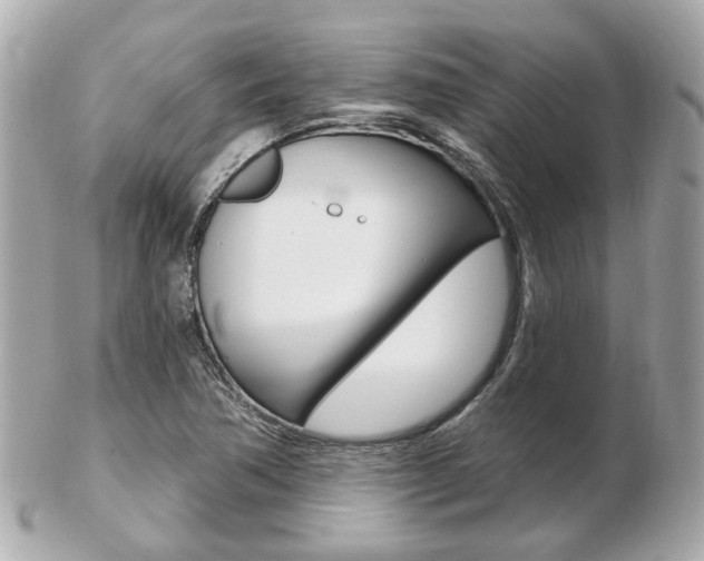 X0000103281362200808291036