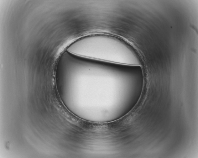 X0000103281363200808291036