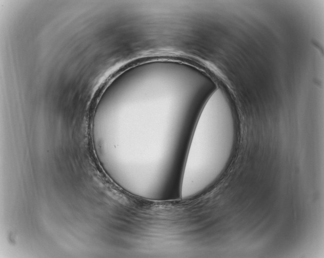 X0000103281364200808291036
