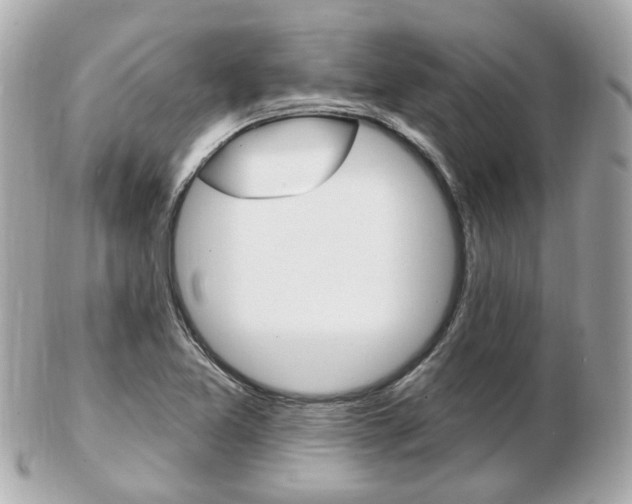X0000103281365200808291036