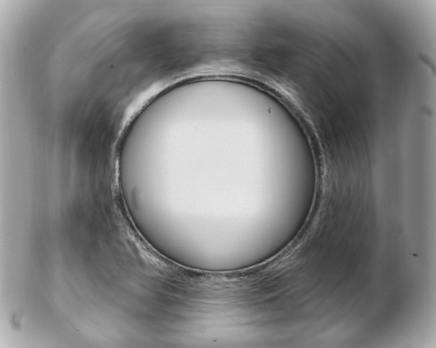 X0000103281366200808291036