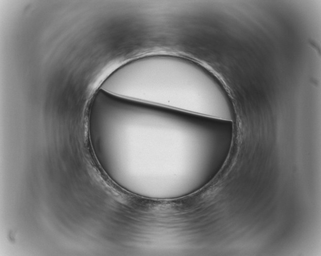 X0000103281367200808291036