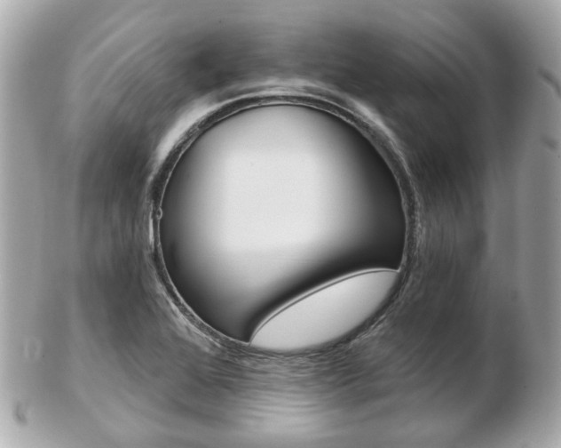 X0000103281368200808291036