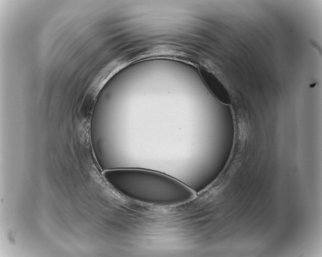 X0000103281369200808291036