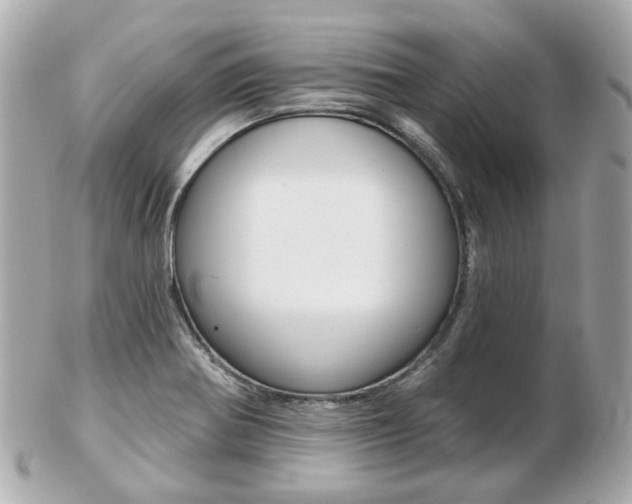 X0000103281370200808291036