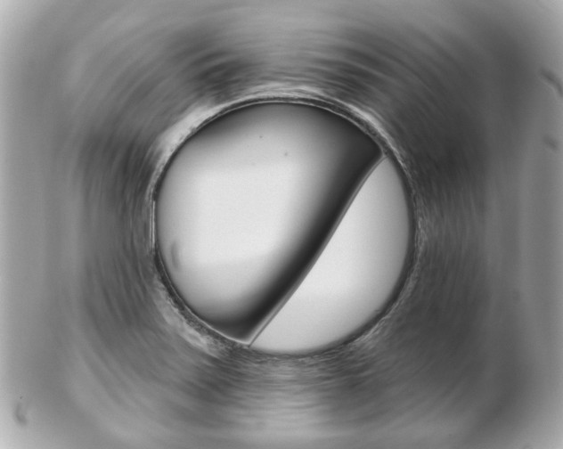 X0000103281371200808291036
