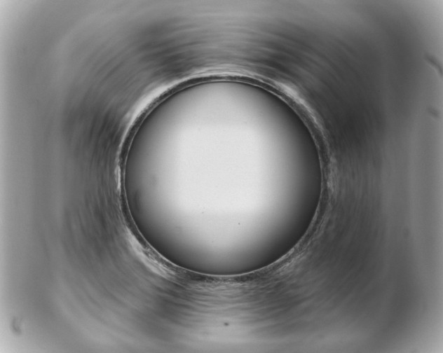 X0000103281372200808291036