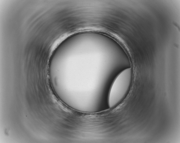 X0000103281373200808291036