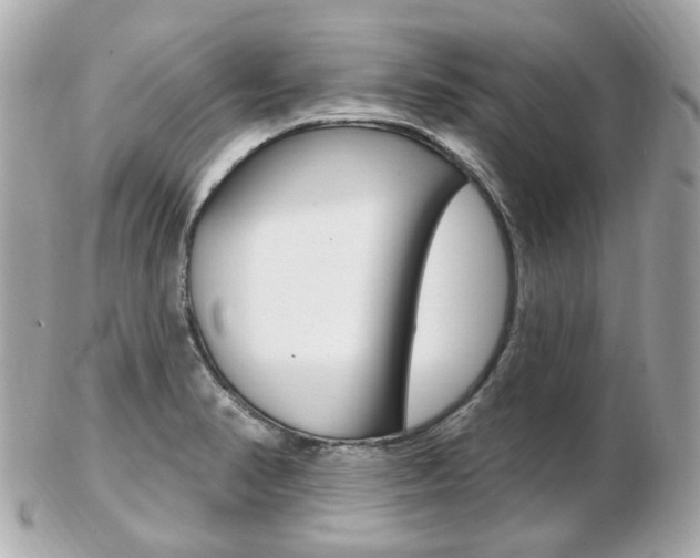 X0000103281374200808291036