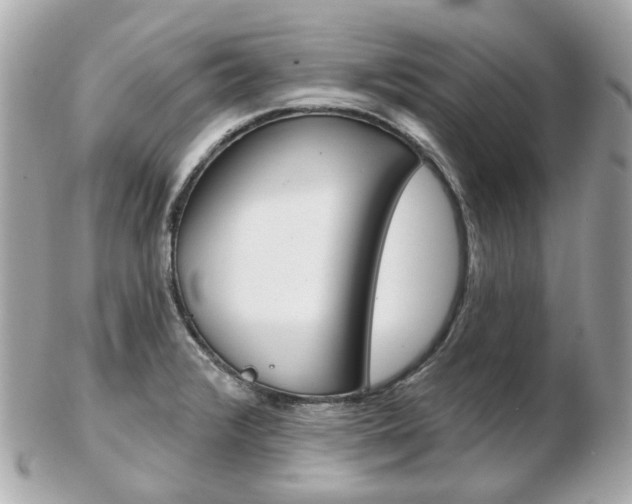 X0000103281376200808291036