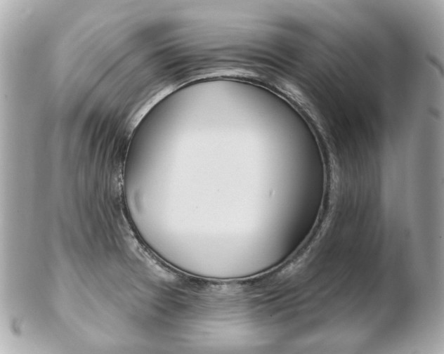 X0000103281377200808291036