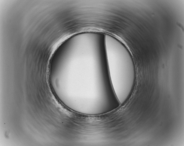 X0000103281379200808291036