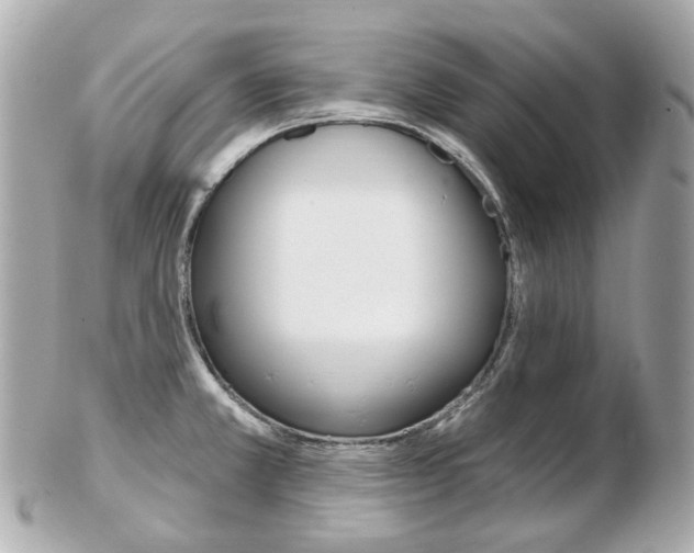 X0000103281381200808291036