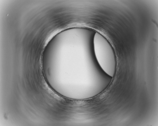 X0000103281382200808291036