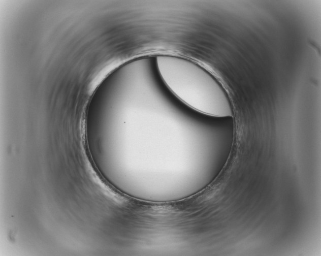 X0000103281383200808291036
