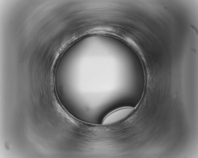X0000103281384200808291036