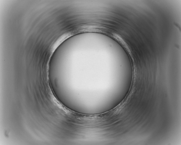 X0000103281386200808291036