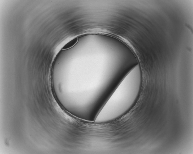 X0000103281387200808291036