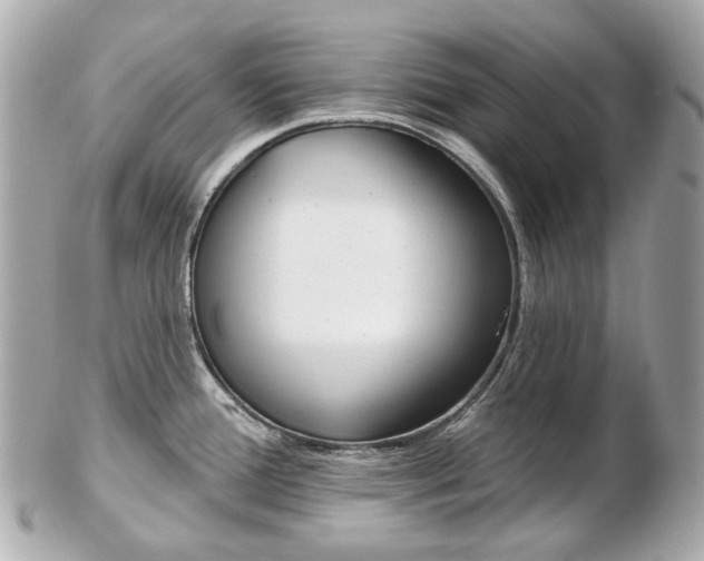 X0000103281388200808291036