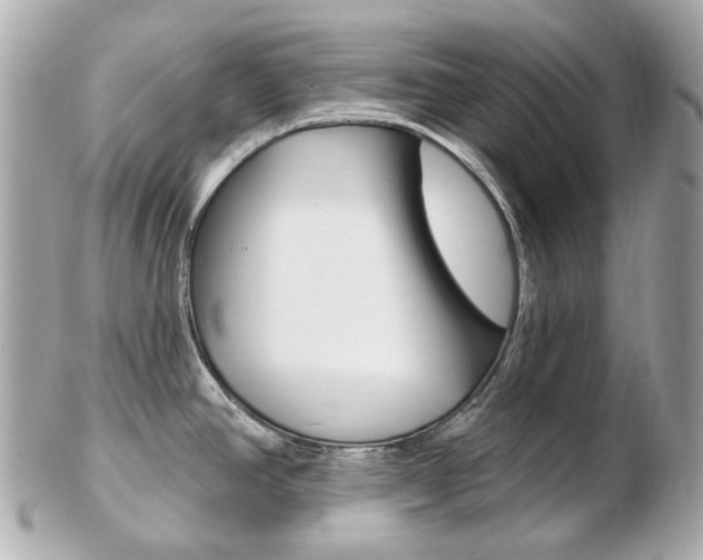 X0000103281390200808291036