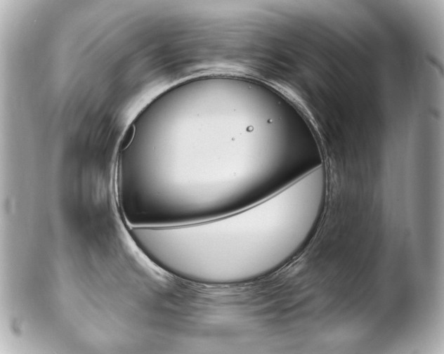X0000103281391200808291036