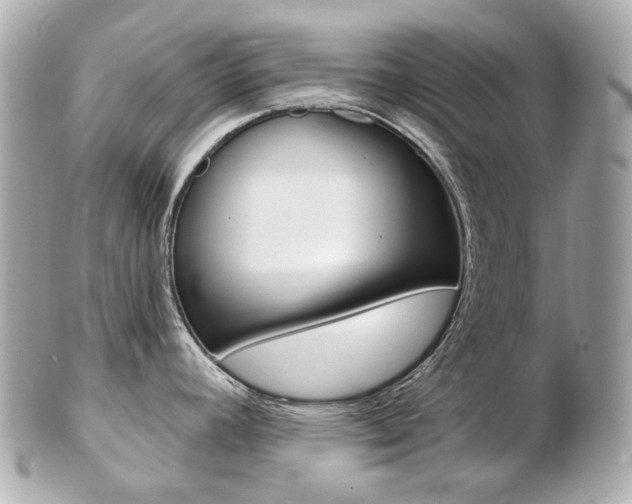 X0000103281392200808291036